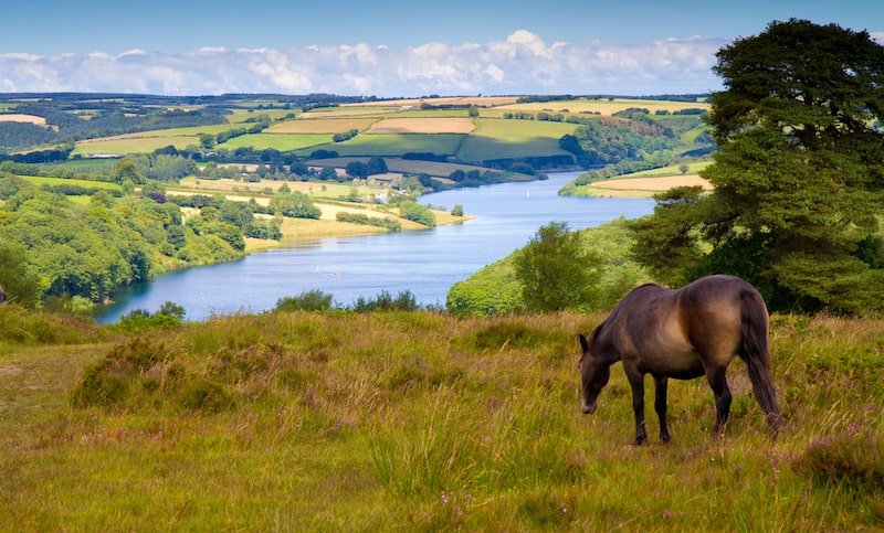 Exmoor National Park